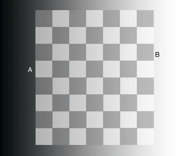 illusion-optique-adelson_0