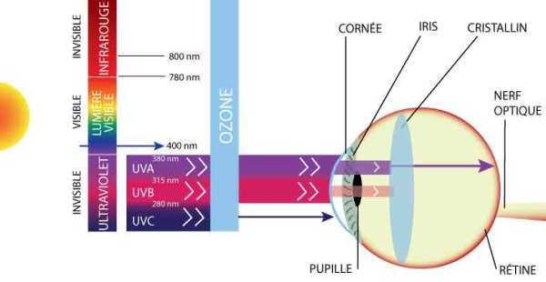 protection des yeux