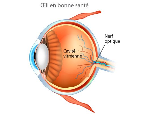 Oeil rétinopathie