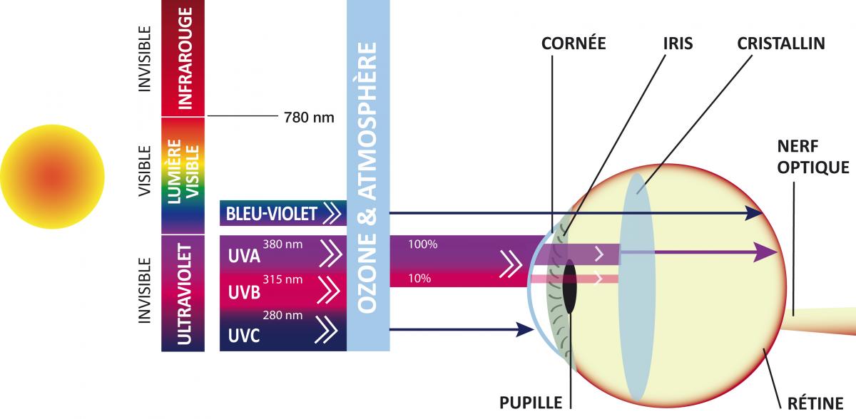 schema-oeil-solaire